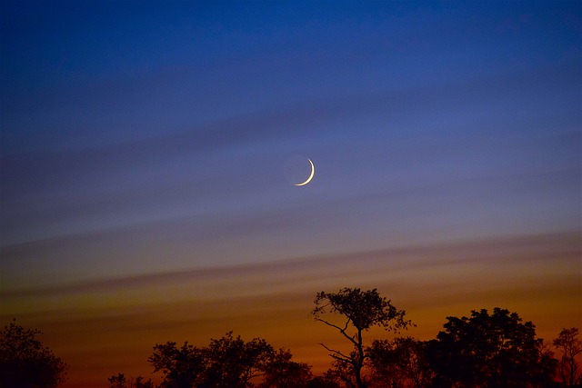 crescent moon dusk photo